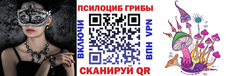 Галлюциногенные грибы Cubensis  Купить закладки  Моздок 